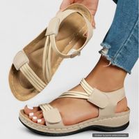 Kaki